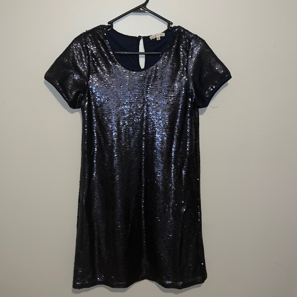 Sequin Navy Blue Dress